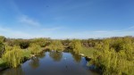 Images for Cygnets Rest, Drakes Broughton