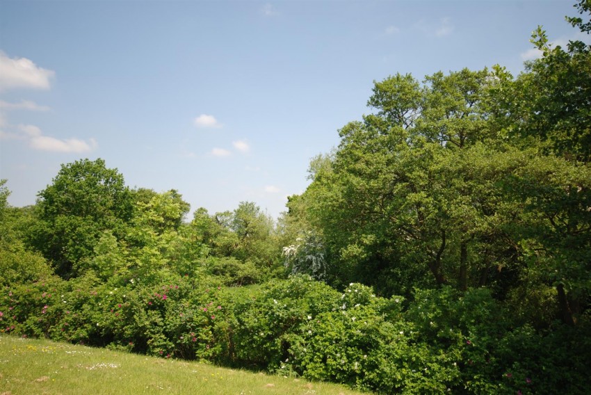 Images for Kingfishers Reach, Leamington Spa