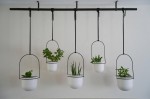 Images for The Paddocks, Cubbington, Leamington Spa