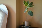 Images for Westgrove Terrace, Leamington Spa